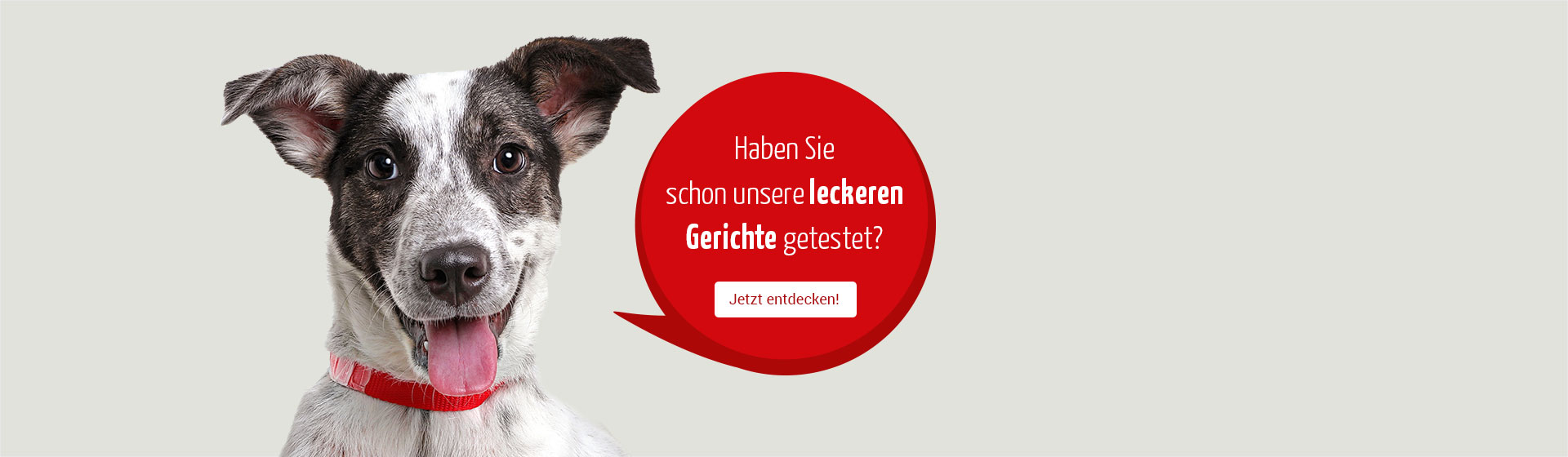 Hund-Nassfutter