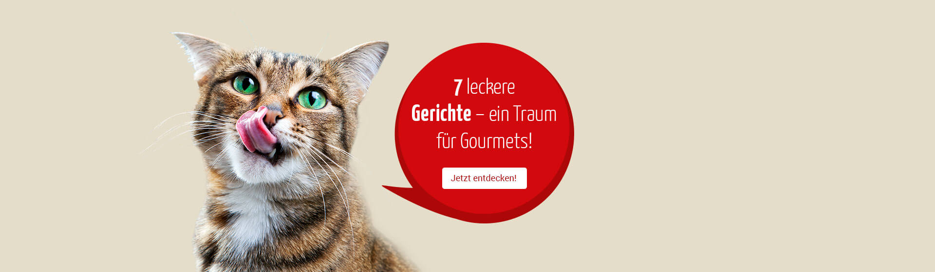Katzen-Nassfutter